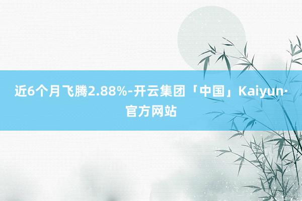 近6个月飞腾2.88%-开云集团「中国」Kaiyun·官方网站