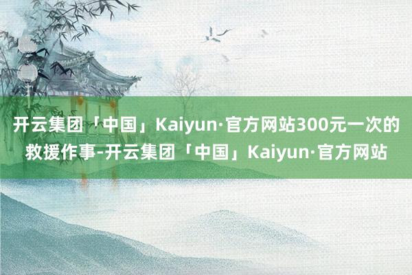 开云集团「中国」Kaiyun·官方网站300元一次的救援作事-开云集团「中国」Kaiyun·官方网站