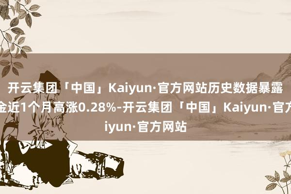 开云集团「中国」Kaiyun·官方网站历史数据暴露该基金近1个月高涨0.28%-开云集团「中国」Kaiyun·官方网站