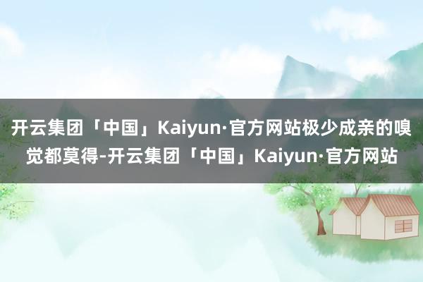 开云集团「中国」Kaiyun·官方网站极少成亲的嗅觉都莫得-开云集团「中国」Kaiyun·官方网站