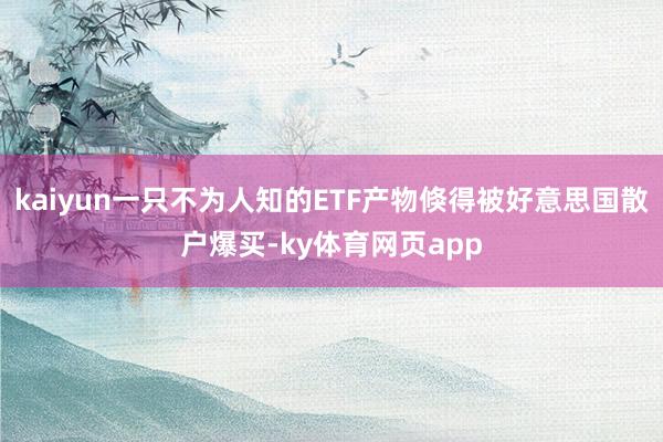 kaiyun一只不为人知的ETF产物倏得被好意思国散户爆买-ky体育网页app